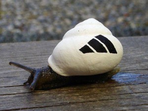 Snail decorated